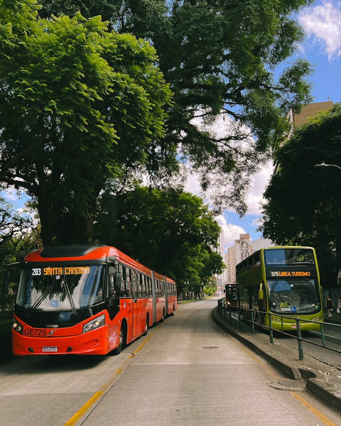 Buses on tree-lined streets in Curitiba, showcasing vibrant urban transport.