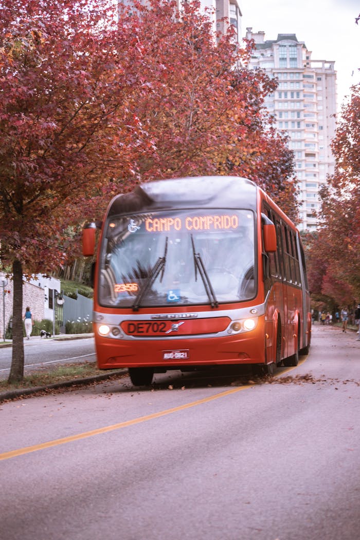 A red city bus drives down a tree-lined street during autumn with vibrant foliage.